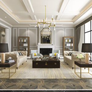 Transitional Design Living Room