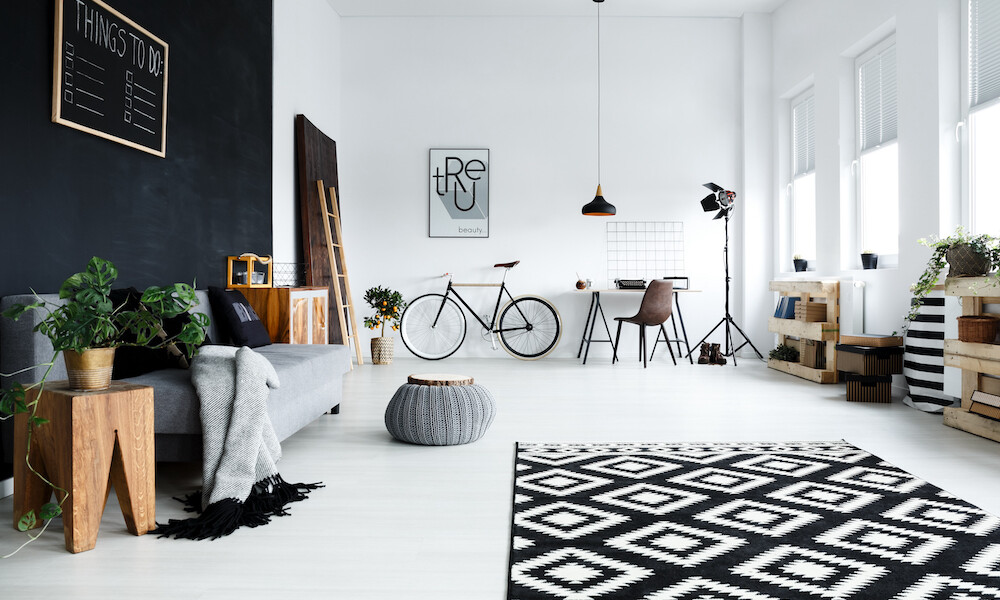 Multifunctional, black and white room with sofa, plants, desk, chair